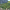micro-foret urbaine