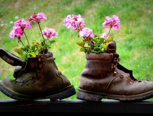 fleurs plantées dans des chaussures