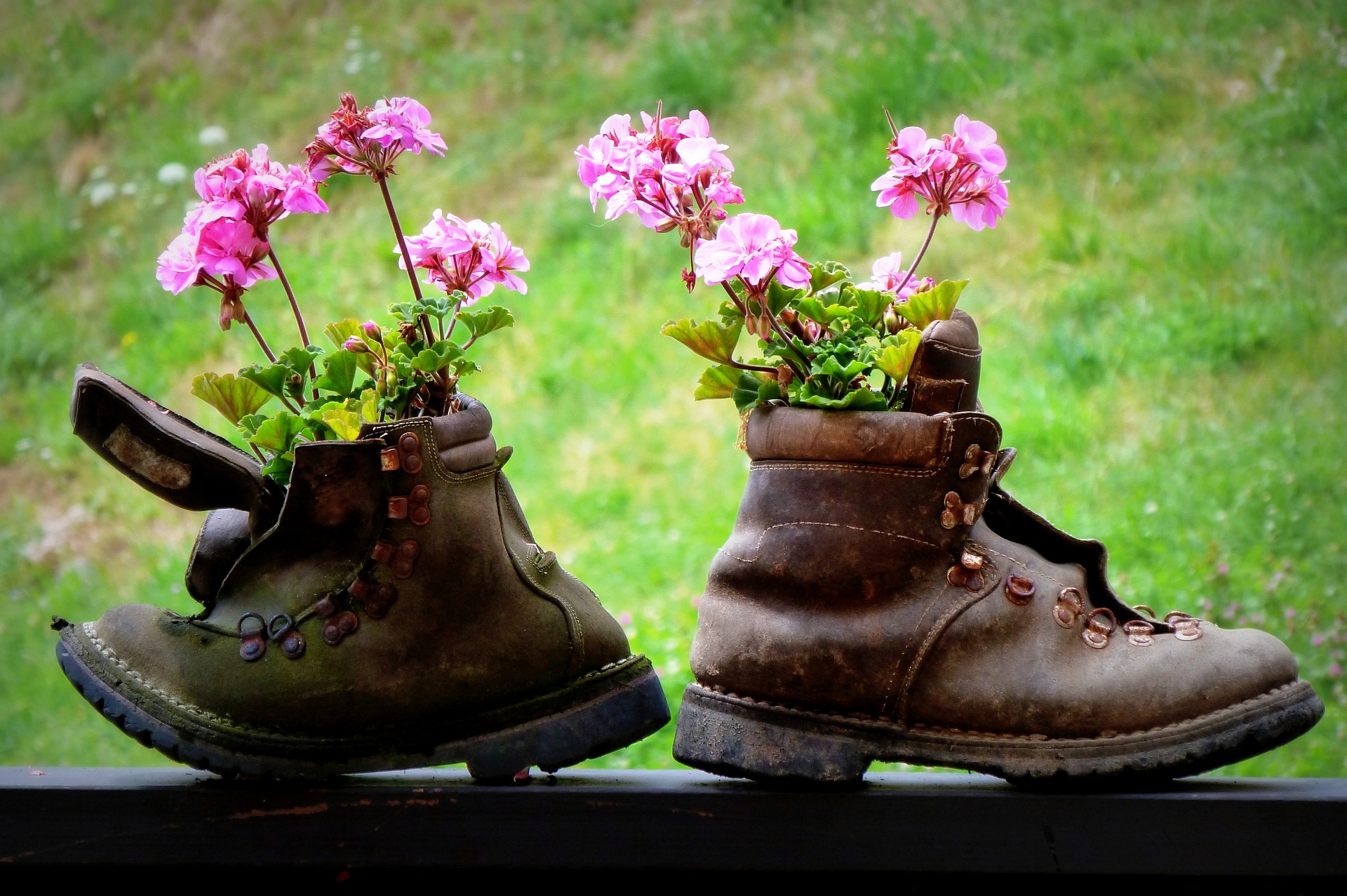 fleurs plantées dans des chaussures