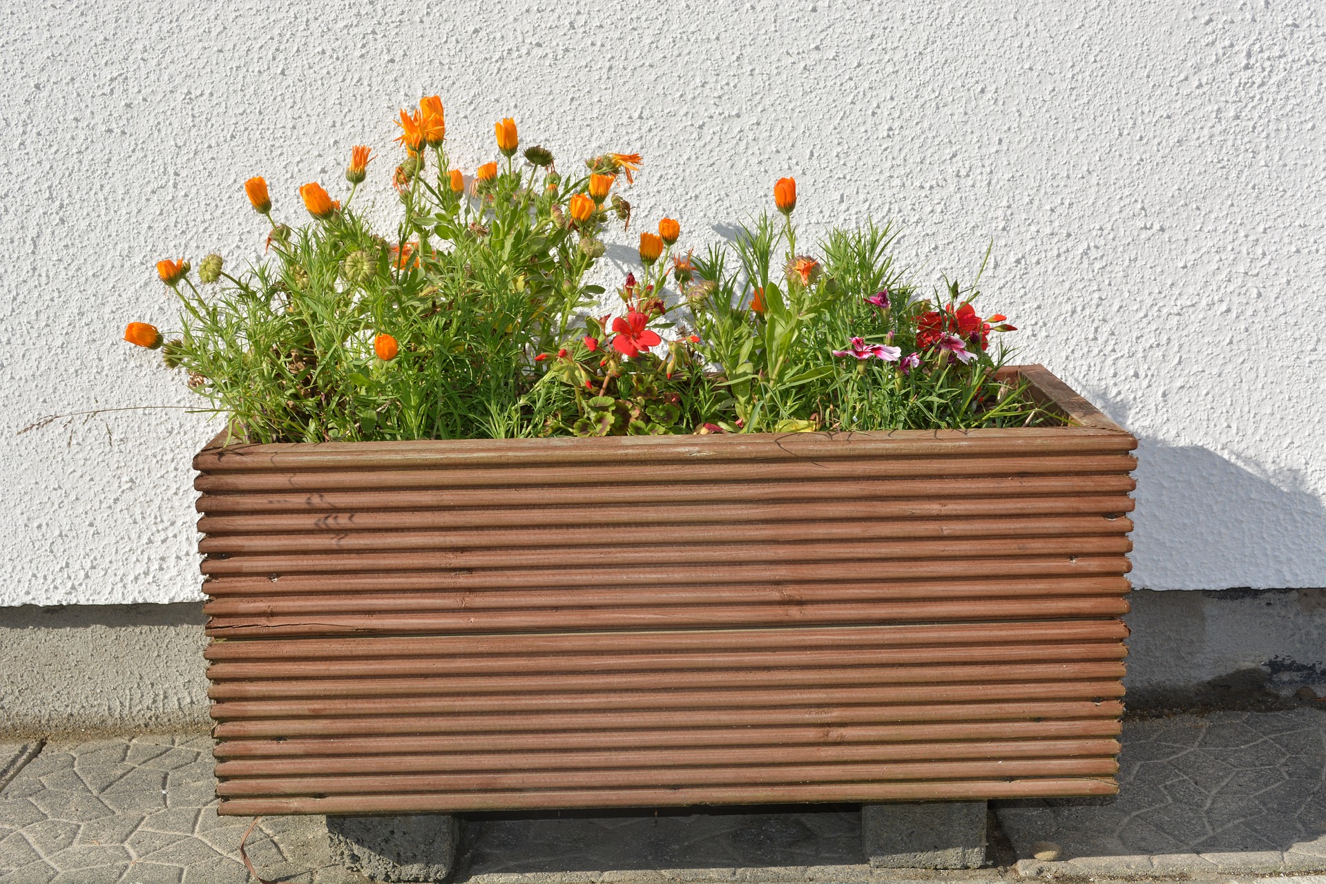 Connaissez-vous vraiment les pots de fleur à réserve d'eau ? - Blog de  Jardin Concept