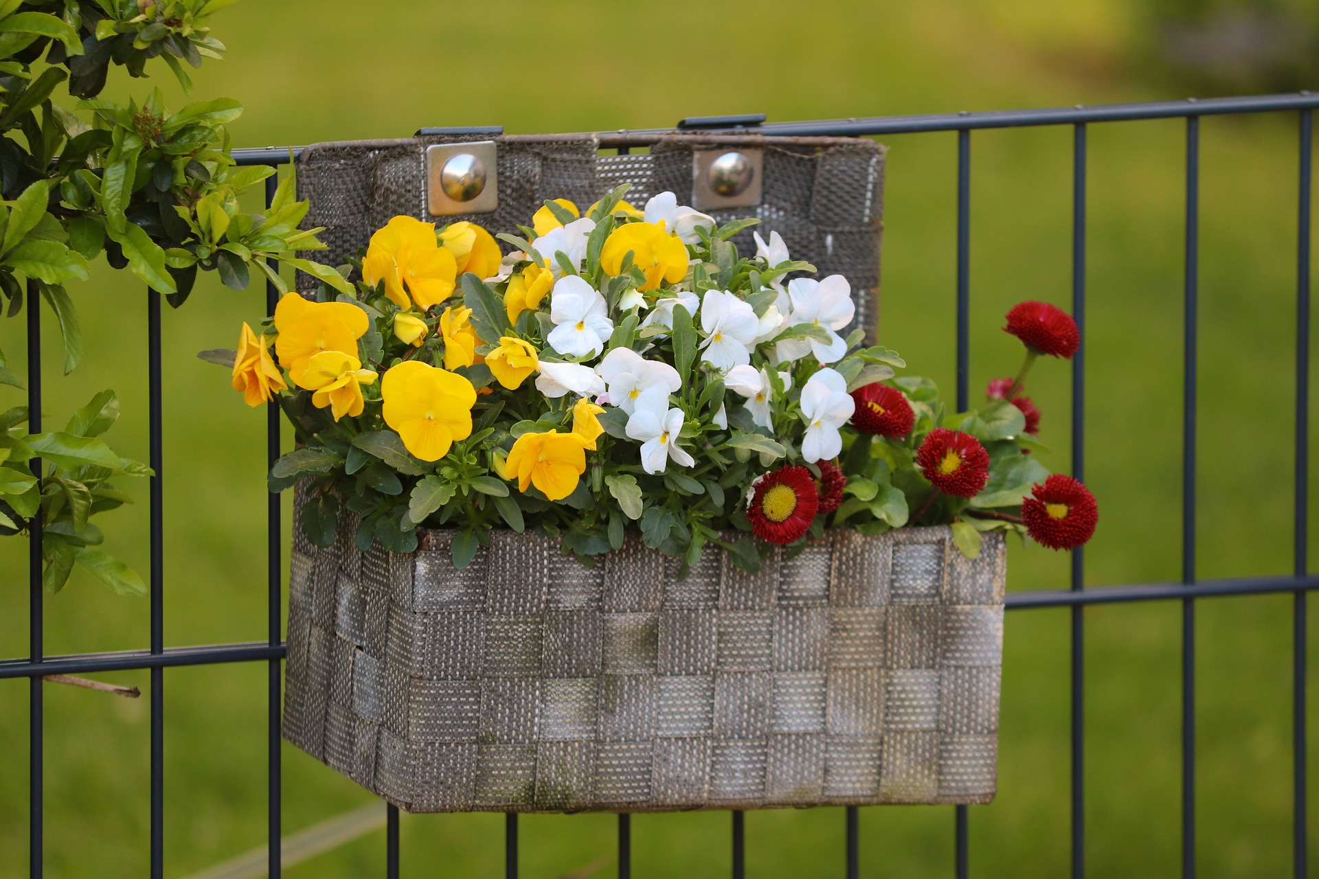 À chaque plante son contenant pour un beau balcon végétalisé