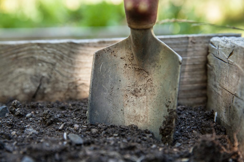 Rempotage des plantes en pot