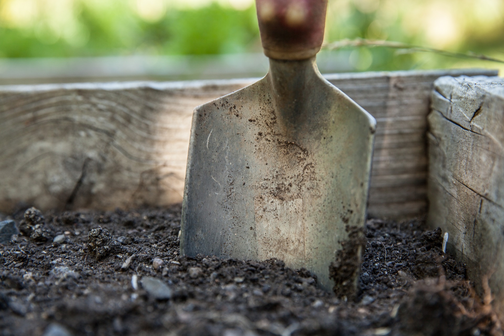 Rempotage des plantes en pot