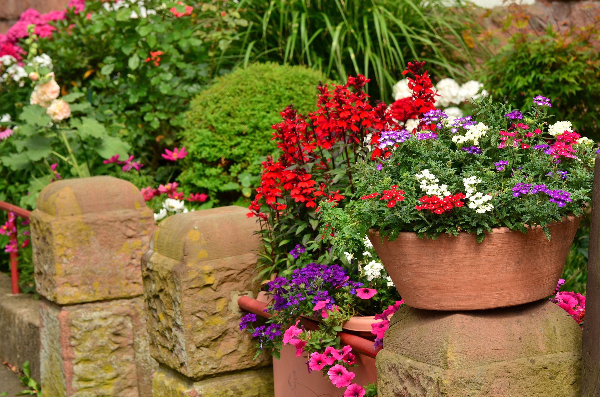 fleurs en pot