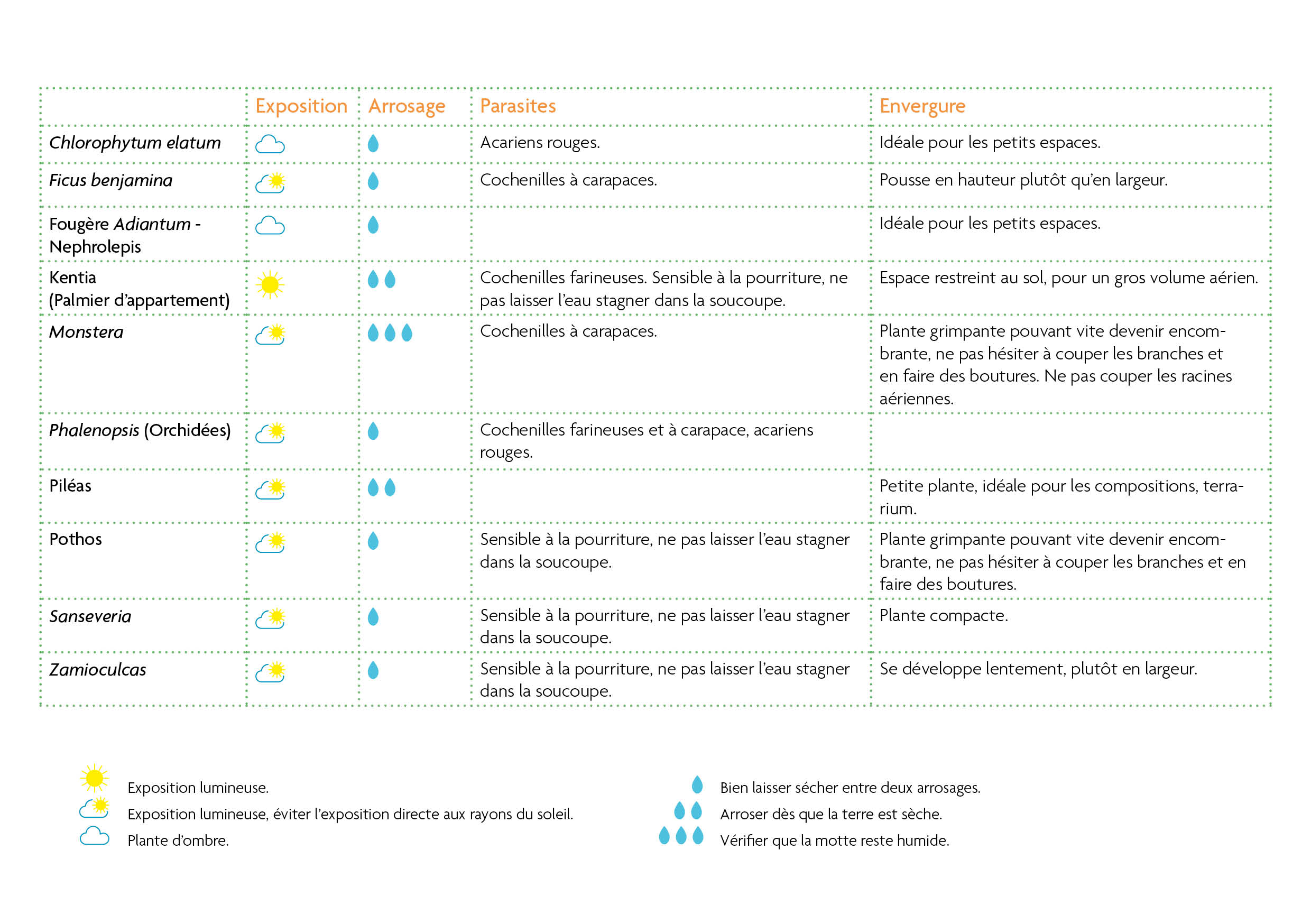 Tableau plantes intérieur